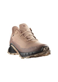 Resim Salomon Alphacross 5 Gtx Outdoor Kadın Ayakkabı Renkli 