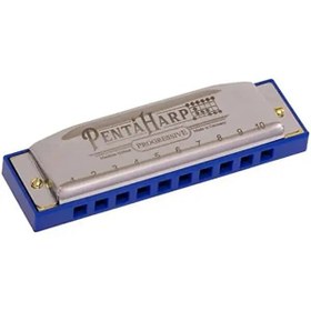 Resim M2103X Pentaharp D Minör Mızıka 