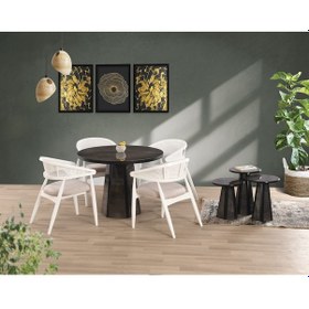 Resim İrony Higngloss Gazel Sandalye Soft-03 Piramit Ayak 100 100 Pota Sabit Masa Takımı Siyah 