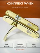 Resim Vettore Altın Plakalı Kapı Kolu 218470057 