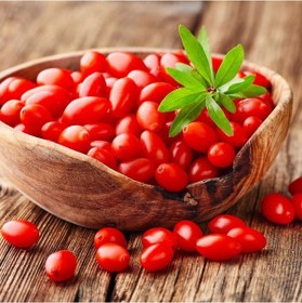 Resim 2 Li Goji Berry Fidanı Seti Kolay Yetiştirilen Meyve Çalısı 