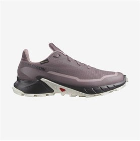 Resim Salomon Alphacross 5 Gtx Antrasit Kadın Gore-Tex Outdoor Ayakkabı L47311000 