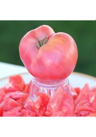Resim Etli Çok İri Meyveli Sevcan Sırık Pembe Domates Fidesi 5 Adet 