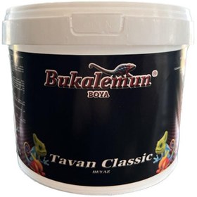 Resim Bukalemun Tavan Boyası 