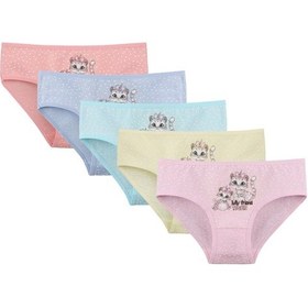 Resim 5'li Kız Çocuk Külot 4112y11 SOMON 