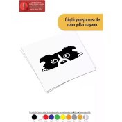 Resim Camdan Bakan Köpek - Araç, Oto, Laptop, Duvar Uyumlu Sticker 50*25 cm 