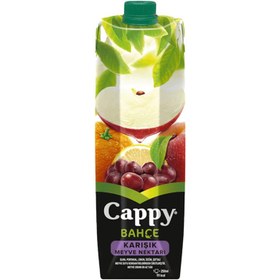 Resim Cappy Karışık Meyve Nektarı 1 L 