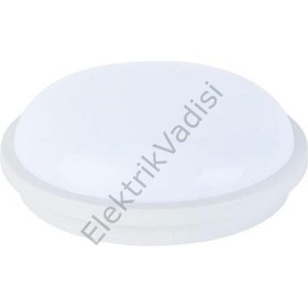 Resim Horoz 20W Ledli Glop Beyaz Işık Sıva Üstü Artos-20 