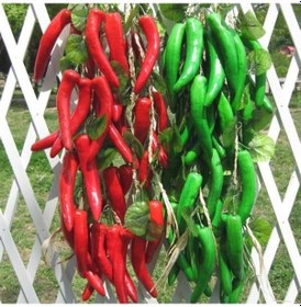 Resim Yapay Meyve Köpüğü Sebze Mısır Biber Sarımsak Asılı Fotoğraf Prop Ev Dekor Purple Garlic 