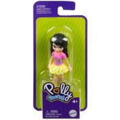 Resim Polly Pocket ve Arkadaşları Serisi FWY19-HHX86 