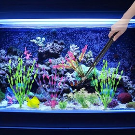 Resim 1 Adet Balık Tankı Temizliği İçin Paslanmaz Çelik Cımbız, Balık Akvaryumu Besleme Aracı 