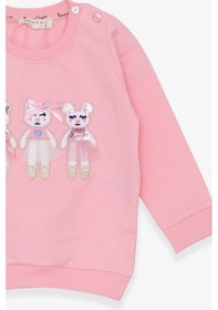 Resim Breeze Kız Çocuk Sweatshirt Hayvancık Baskılı 1.5-5 Yaş, Pudra 