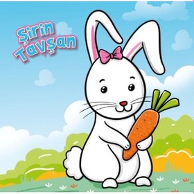 Resim Şirin Tavşan - Ömer Canbir - Net Çocuk Yayınları 