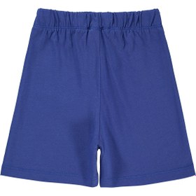 Resim Civil Boys Surfer Dino 2-5 Yaş Şort - Mavi - Saks Mavisi / 3-4 Yaş 