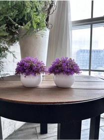 Resim Okosh Saksıda Yapay Çiçekler, Saksıda Bitkiler 202754384 Leylak 