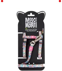 Resim NETWORK ART Ayarlanabilir Kedi Koşum Takımı ve Tasma Seti - Zebra Desenli 