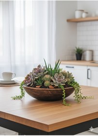 Resim Alba Home Decor Dekoratif sukulent kaktüs arajmanlık saksı 