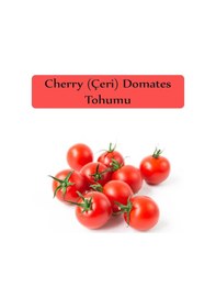 Resim Çeri Domates Tohumu Cherry Domates Tohumu 1000 Adet Tohum 