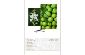 Resim AND YOU After You 165 Black Orchide Edp 50ml Kadın Parfüm 