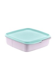 Resim Bölmeli Saklama Kabı Royaleks-ak540 Diğer 