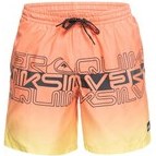 Resim Quiksilver EQYJV04005 Wordblock 17 M Jamv Erkek Şort Mayo 