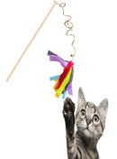 Resim Brt Pet Everypet Ekonomik Jüt Ipli Kedi Oyun Oltası 