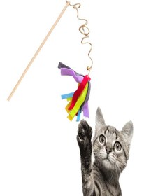 Resim Brt Pet Everypet Ekonomik Jüt Ipli Kedi Oyun Oltası 