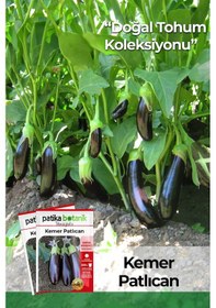 Resim Patika Botanik 200 Adet Kemer Patlıcan Tohumu 