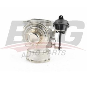 Resim BSG 90-836-005 EGR VALFİ 