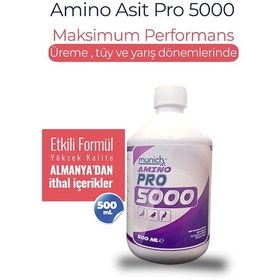 Resim Amino Asit Pro 5000 500 Ml 
