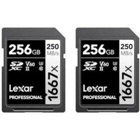 Resim Lexar LSD1667 x 256 GB Sdxc Uhs-Iı Kartlar, 250 Mb/s'ye Kadar Okuma, Profesyonel Fotoğrafçılar, Kameramanlar ve Meraklıları Için, LSD1667256G-B2NNU, 2'li Paket, Siyah/gri 
