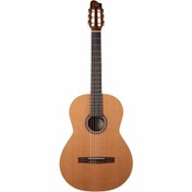 Resim Godin Collection Klasik Gitar (Natural) 