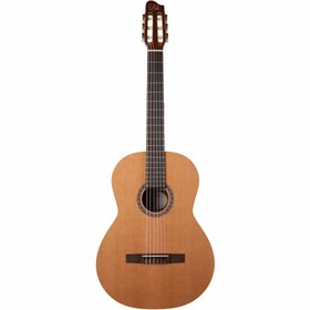 Resim Godin Collection Klasik Gitar (Natural) 