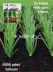 Resim 1000 Adet Yeşil Soğan Tohumu- 2 Paket 