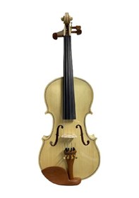 Resim Keman Gül Ağacı Aksamlı Parlak Kelebek Ağacı Tam Profesyonel Ahşap 