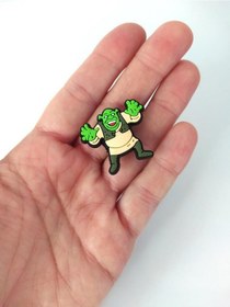Resim Terlik Ayakkabı Sandalet Süsü Shrek 1 Adet Silikon Kız Erkek Aksesuar Hediye 