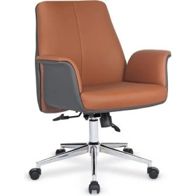 Resim Toleda Şef Koltuğu 