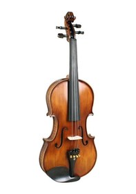 Resim Swing Sv544 Profesyonel Keman Kutu Yay, Reçine Dahil 