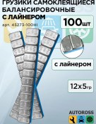 Resim 12'li X 5 Gr - 100 Adet, Kendinden Yapışkanlı Lineer Ağırlıklar 323864673 