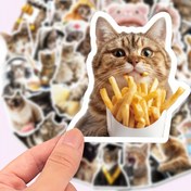Resim 50 Adet Sevimli Kedi Sticker: Dizüstü Bilgisayar, Su Şişesi, Bavul, Kask, Motosiklet, Gitar, Noel Hediyesi, Ödül Hediyesi - Vinil Malzeme, Yeniden Kullanılabilir, 14 Yaş ve Üzeri İçin Uygundur 
