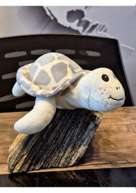 Resim Caretta Caretta Kaplumbağa Küçük Gri 