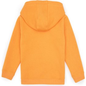 Resim U.S. Polo Assn. Erkek Çocuk Mango Kapüşonlu Basic Sweatshirt 50313808-VR244 