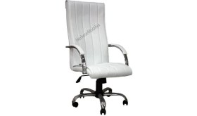 Resim Koltuk Stilim Diana Krom Makam Koltuk Takımı 