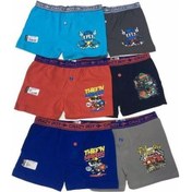 Resim Tutku Erkek Çocuk Baskılı Boxer 12'Li 