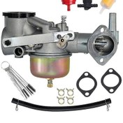Resim 491590 Karbüratör Uyumlu 191700 192700 193700 Motor Serisi Uyumlu 390811 392152 491029 A4646 
