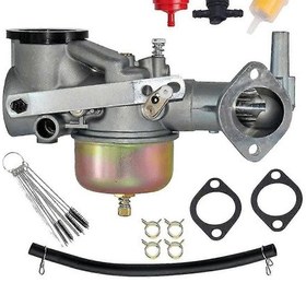 Resim 491590 Karbüratör Uyumlu 191700 192700 193700 Motor Serisi Uyumlu 390811 392152 491029 A4646 