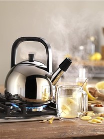 Resim Zwilling 40995-001 Plus 1.6 L Su Isıtıcı 