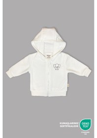 Resim Bebek/cocuk Nakış Detaylı Fermuarlı Sweatshirt Gri 