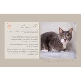 Resim 2026 Yılına Özel Kedi Temalı Masa Takvimi Açık Gri 