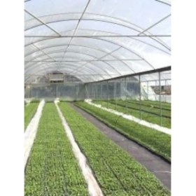 Resim 160 Micron Naylon Örtü, Şeffaf Su Geçirmez Naylon, 3X22 Metre 